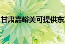 甘肅嘉峪關(guān)可提供東芝空調(diào)維修服務(wù)地址在哪