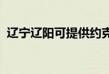 遼寧遼陽(yáng)可提供約克空調(diào)維修服務(wù)地址在哪