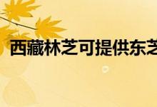 西藏林芝可提供東芝空調(diào)維修服務(wù)地址在哪