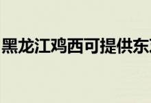 黑龍江雞西可提供東芝空調(diào)維修服務(wù)地址在哪