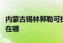 內(nèi)蒙古錫林郭勒可提供約克空調(diào)維修服務(wù)地址在哪
