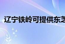 遼寧鐵嶺可提供東芝空調(diào)維修服務(wù)地址在哪