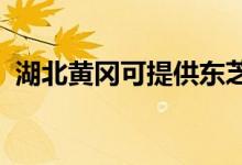 湖北黃岡可提供東芝空調(diào)維修服務地址在哪