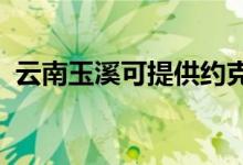 云南玉溪可提供約克空調(diào)維修服務地址在哪