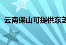 云南保山可提供東芝空調(diào)維修服務(wù)地址在哪