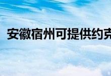 安徽宿州可提供約克空調(diào)維修服務(wù)地址在哪