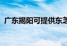 廣東揭陽(yáng)可提供東芝空調(diào)維修服務(wù)地址在哪