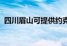 四川眉山可提供約克空調(diào)維修服務地址在哪