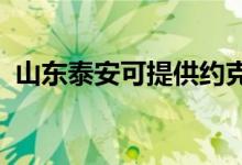 山東泰安可提供約克空調(diào)維修服務(wù)地址在哪