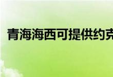 青海海西可提供約克空調(diào)維修服務(wù)地址在哪