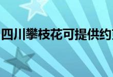 四川攀枝花可提供約克空調(diào)維修服務(wù)地址在哪