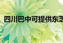 四川巴中可提供東芝空調(diào)維修服務(wù)地址在哪