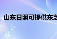 山東日照可提供東芝空調(diào)維修服務(wù)地址在哪