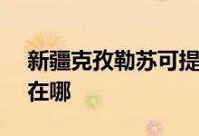 新疆克孜勒蘇可提供SKG空調(diào)維修服務(wù)地址在哪