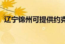 遼寧錦州可提供約克空調(diào)維修服務(wù)地址在哪