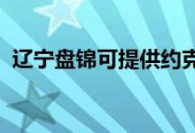 遼寧盤錦可提供約克空調(diào)維修服務(wù)地址在哪
