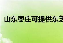 山東棗莊可提供東芝空調(diào)維修服務(wù)地址在哪