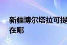 新疆博爾塔拉可提供SKG空調(diào)維修服務(wù)地址在哪