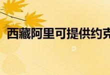 西藏阿里可提供約克空調(diào)維修服務地址在哪