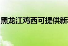 黑龍江雞西可提供新科空調(diào)維修服務(wù)地址在哪