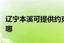 遼寧本溪可提供約克中央空調(diào)維修服務(wù)地址在哪
