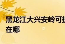 黑龍江大興安嶺可提供芬尼空調(diào)維修服務(wù)地址在哪