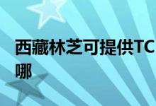 西藏林芝可提供TCL中央空調(diào)維修服務(wù)地址在哪