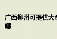 廣西柳州可提供大金中央空調(diào)維修服務(wù)地址在哪
