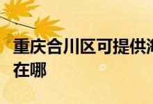 重慶合川區(qū)可提供海爾中央空調(diào)維修服務(wù)地址在哪