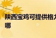 陜西寶雞可提供格力中央空調(diào)維修服務(wù)地址在哪