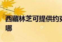 西藏林芝可提供約克中央空調(diào)維修服務(wù)地址在哪