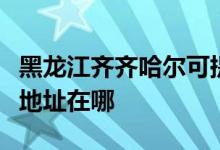 黑龍江齊齊哈爾可提供約克中央空調(diào)維修服務(wù)地址在哪