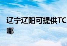 遼寧遼陽(yáng)可提供TCL中央空調(diào)維修服務(wù)地址在哪