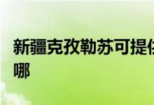 新疆克孜勒蘇可提供新科空調(diào)維修服務(wù)地址在哪