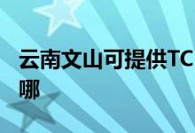 云南文山可提供TCL中央空調(diào)維修服務(wù)地址在哪