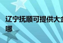 遼寧撫順可提供大金中央空調(diào)維修服務(wù)地址在哪