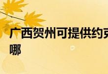 廣西賀州可提供約克中央空調(diào)維修服務(wù)地址在哪