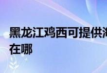 黑龍江雞西可提供海爾中央空調(diào)維修服務(wù)地址在哪