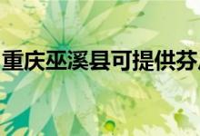 重慶巫溪縣可提供芬尼空調(diào)維修服務(wù)地址在哪