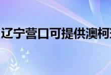 遼寧營口可提供澳柯瑪冰箱維修服務(wù)地址在哪