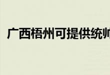 廣西梧州可提供統(tǒng)帥冰箱維修服務(wù)地址在哪