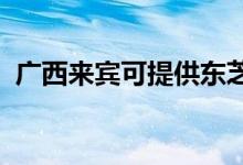 廣西來賓可提供東芝冰箱維修服務(wù)地址在哪