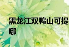 黑龍江雙鴨山可提供LG冰箱維修服務(wù)地址在哪