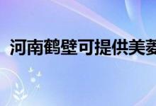 河南鶴壁可提供美菱冰箱維修服務(wù)地址在哪