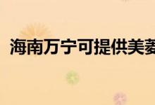 海南萬寧可提供美菱冰箱維修服務(wù)地址在哪
