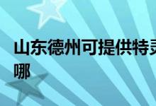 山東德州可提供特靈中央空調(diào)維修服務(wù)地址在哪