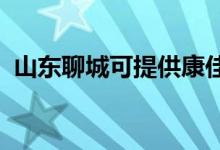 山東聊城可提供康佳冰箱維修服務(wù)地址在哪