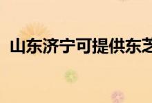 山東濟(jì)寧可提供東芝冰箱維修服務(wù)地址在哪