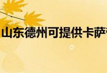 山東德州可提供卡薩帝冰箱維修服務(wù)地址在哪