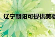 遼寧朝陽可提供美菱冰箱維修服務(wù)地址在哪